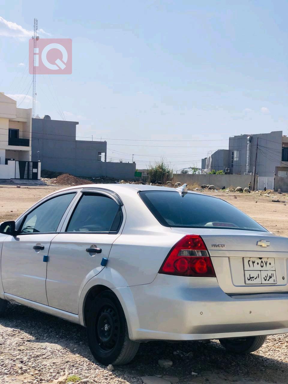 شێڤرۆلێت ئەڤیۆ